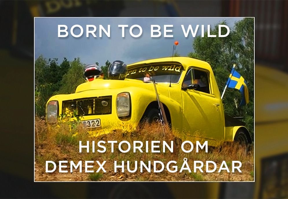 Historien om Demex Hundgårdar