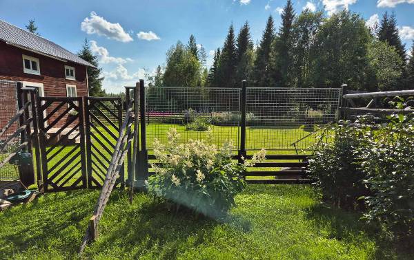 Salukis och säkerhet i harmoni – Majo’s kennel valde Demex hundgårdar